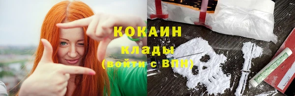 винт Гусь-Хрустальный