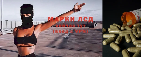 винт Гусь-Хрустальный