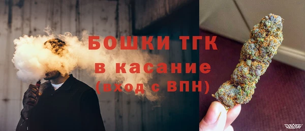 винт Гусь-Хрустальный