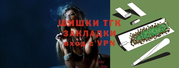 винт Гусь-Хрустальный
