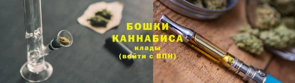 дмт Гусев