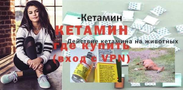 дмт Гусев