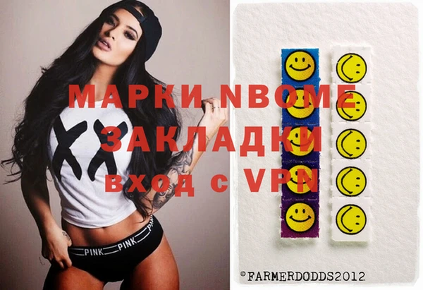 дмт Гусев