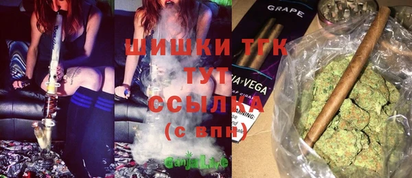 винт Гусь-Хрустальный