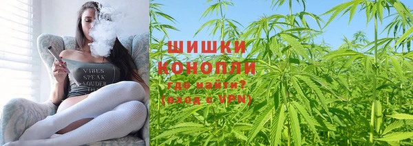 дмт Гусев