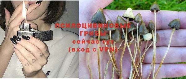 дмт Гусев