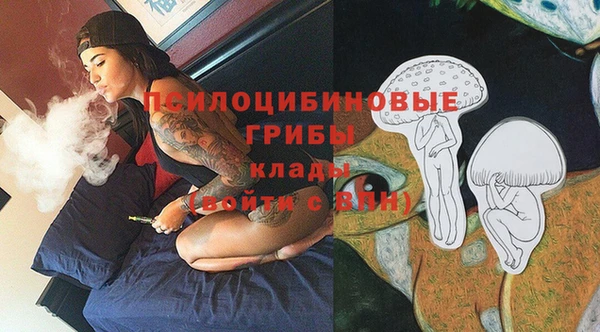 винт Гусь-Хрустальный