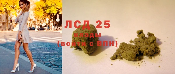дмт Гусев