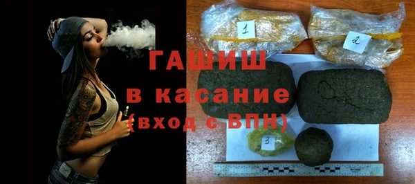 дмт Гусев
