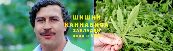 дмт Гусев