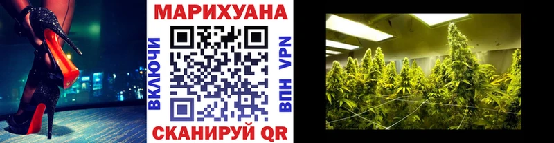 Бошки Шишки Amnesia  Купить где  Цивильск 